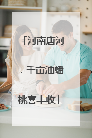 河南唐河：千亩油蟠桃喜丰收