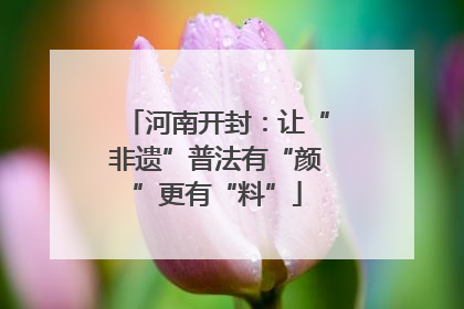 河南开封：让“非遗”普法有“颜”更有“料”