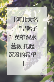 河北大名：“旱鸭子”英雄深水营救 托起沉没的希望