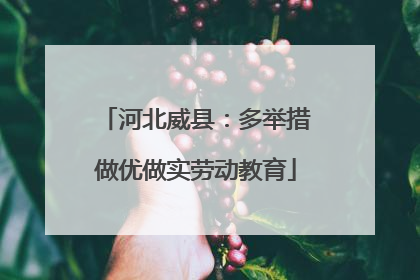河北威县：多举措做优做实劳动教育