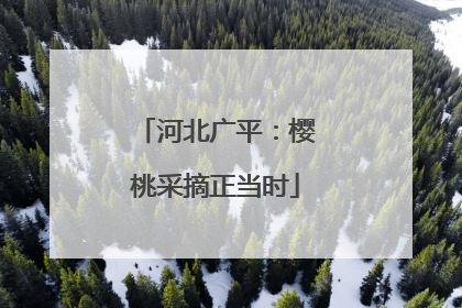 河北广平：樱桃采摘正当时