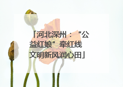 河北深州：“公益红娘”牵红线 文明新风润心田