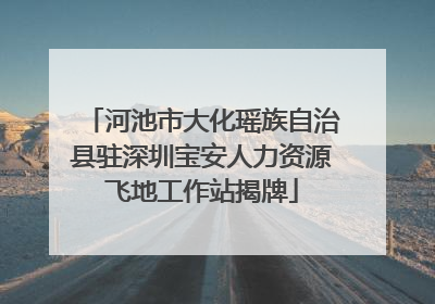 河池市大化瑶族自治县驻深圳宝安人力资源飞地工作站揭牌