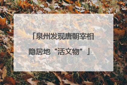 泉州发现唐朝宰相隐居地“活文物”