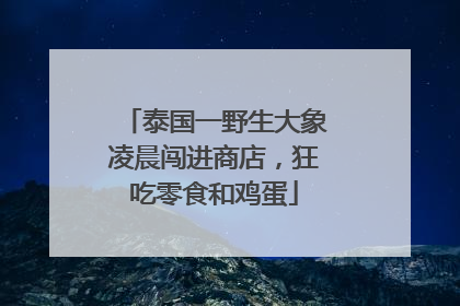 泰国一野生大象凌晨闯进商店，狂吃零食和鸡蛋