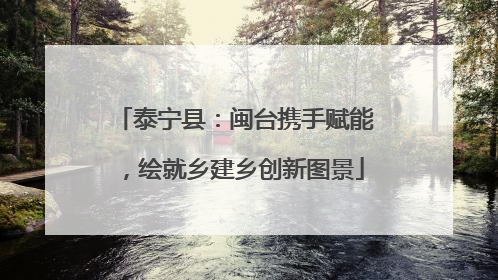 泰宁县：闽台携手赋能，绘就乡建乡创新图景