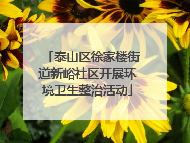 泰山区徐家楼街道新峪社区开展环境卫生整治活动