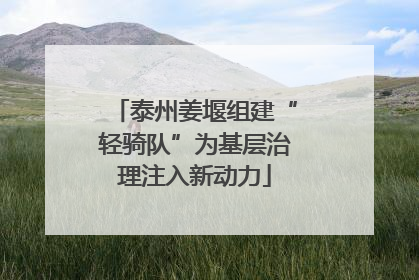 泰州姜堰组建“轻骑队”为基层治理注入新动力