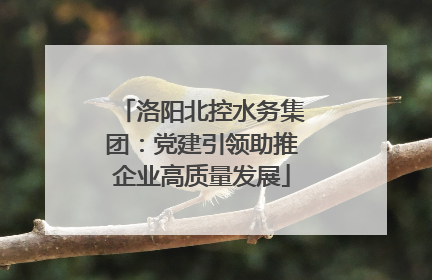 洛阳北控水务集团：党建引领助推企业高质量发展