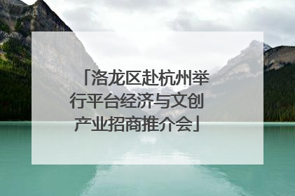 洛龙区赴杭州举行平台经济与文创产业招商推介会