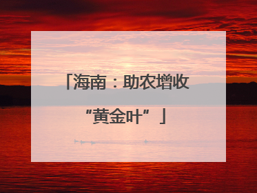 海南：助农增收 “黄金叶”
