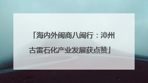 海内外闽商八闽行：漳州古雷石化产业发展获点赞
