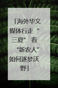 海外华文媒体行走“三夏” 看“新农人”如何逐梦沃野