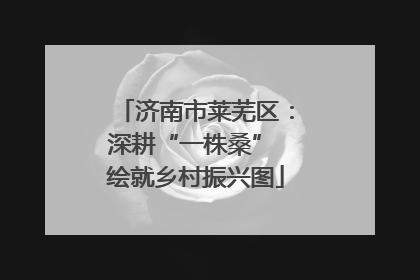 济南市莱芜区：深耕“一株桑” 绘就乡村振兴图