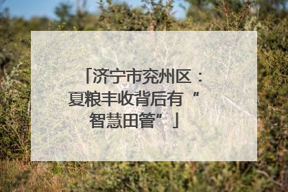 济宁市兖州区：夏粮丰收背后有“智慧田管”