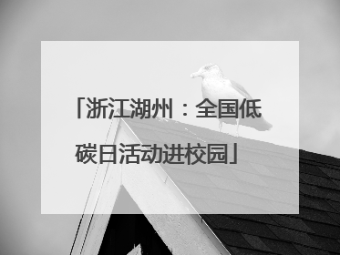 浙江湖州：全国低碳日活动进校园