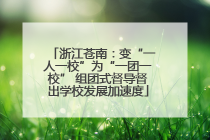 浙江苍南：变“一人一校”为“一团一校” 组团式督导督出学校发展加速度