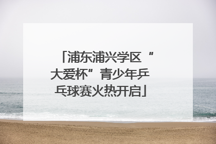 浦东浦兴学区“大爱杯”青少年乒乓球赛火热开启