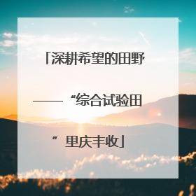 深耕希望的田野——“综合试验田”里庆丰收