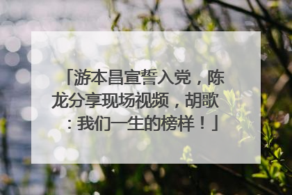 游本昌宣誓入党，陈龙分享现场视频，胡歌：我们一生的榜样！