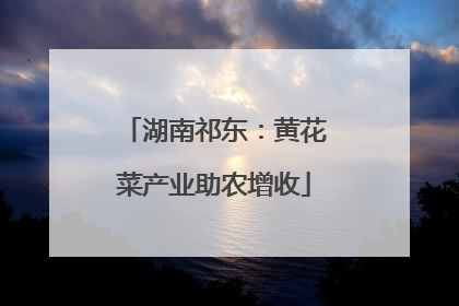 湖南祁东：黄花菜产业助农增收