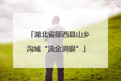 湖北省郧西县山乡沟域“流金淌银”