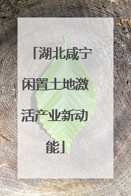 湖北咸宁闲置土地激活产业新动能