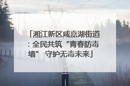 湘江新区咸嘉湖街道：全民共筑“青春防毒墙” 守护无毒未来