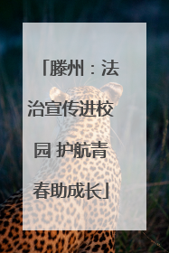 滕州：法治宣传进校园 护航青春助成长
