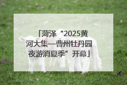 菏泽“2025黄河大集—曹州牡丹园夜游消夏季”开幕