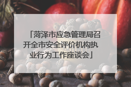 菏泽市应急管理局召开全市安全评价机构执业行为工作座谈会