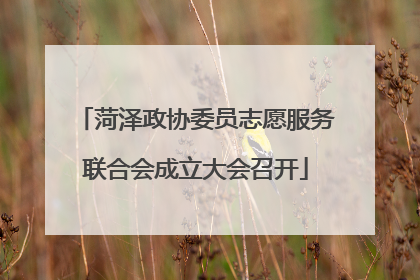 菏泽政协委员志愿服务联合会成立大会召开