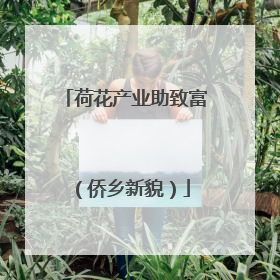 荷花产业助致富（侨乡新貌）