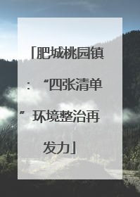 肥城桃园镇：“四张清单”环境整治再发力