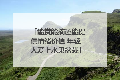 能赏能摘还能提供情绪价值 年轻人爱上水果盆栽