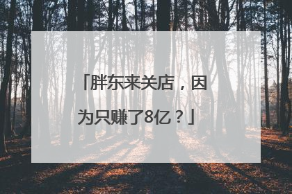 胖东来关店，因为只赚了8亿？