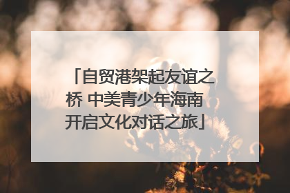 自贸港架起友谊之桥 中美青少年海南开启文化对话之旅