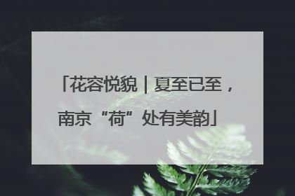花容悦貌｜夏至已至，南京“荷”处有美韵