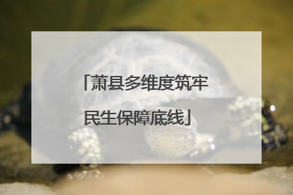 萧县多维度筑牢民生保障底线