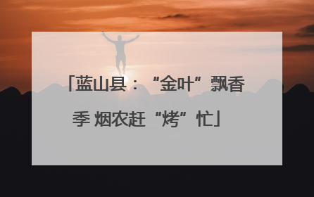 蓝山县：“金叶”飘香季 烟农赶“烤”忙