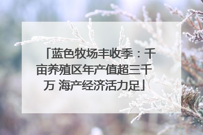蓝色牧场丰收季：千亩养殖区年产值超三千万 海产经济活力足