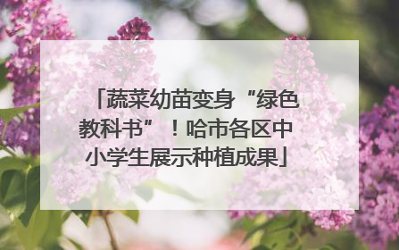 蔬菜幼苗变身“绿色教科书”！哈市各区中小学生展示种植成果