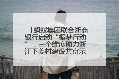 蚂蚁集团联合浙商银行启动“栀梦行动”，三个维度助力浙江下姜村建设共富示范区示范点