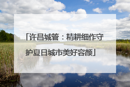 许昌城管：精耕细作守护夏日城市美好容颜