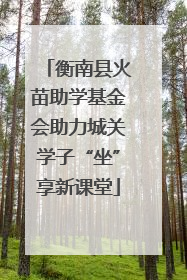 衡南县火苗助学基金会助力城关学子“坐”享新课堂