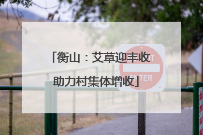 衡山：艾草迎丰收 助力村集体增收