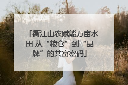 衢江山农赋能万亩水田 从“粮仓”到“品牌”的共富密码