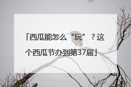 西瓜能怎么“玩”？这个西瓜节办到第37届