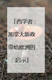 西学者：加拿大新政带给欧洲的启示
