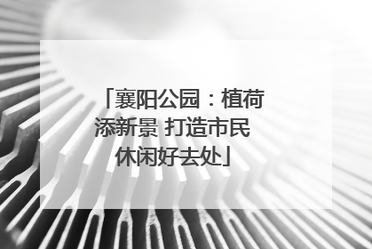 襄阳公园：植荷添新景 打造市民休闲好去处